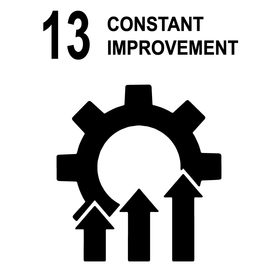 13. Constant Improvement