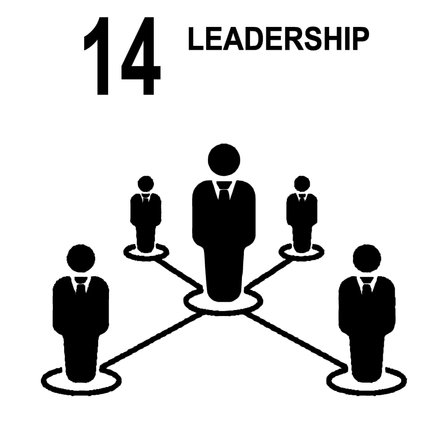 14. Leadership