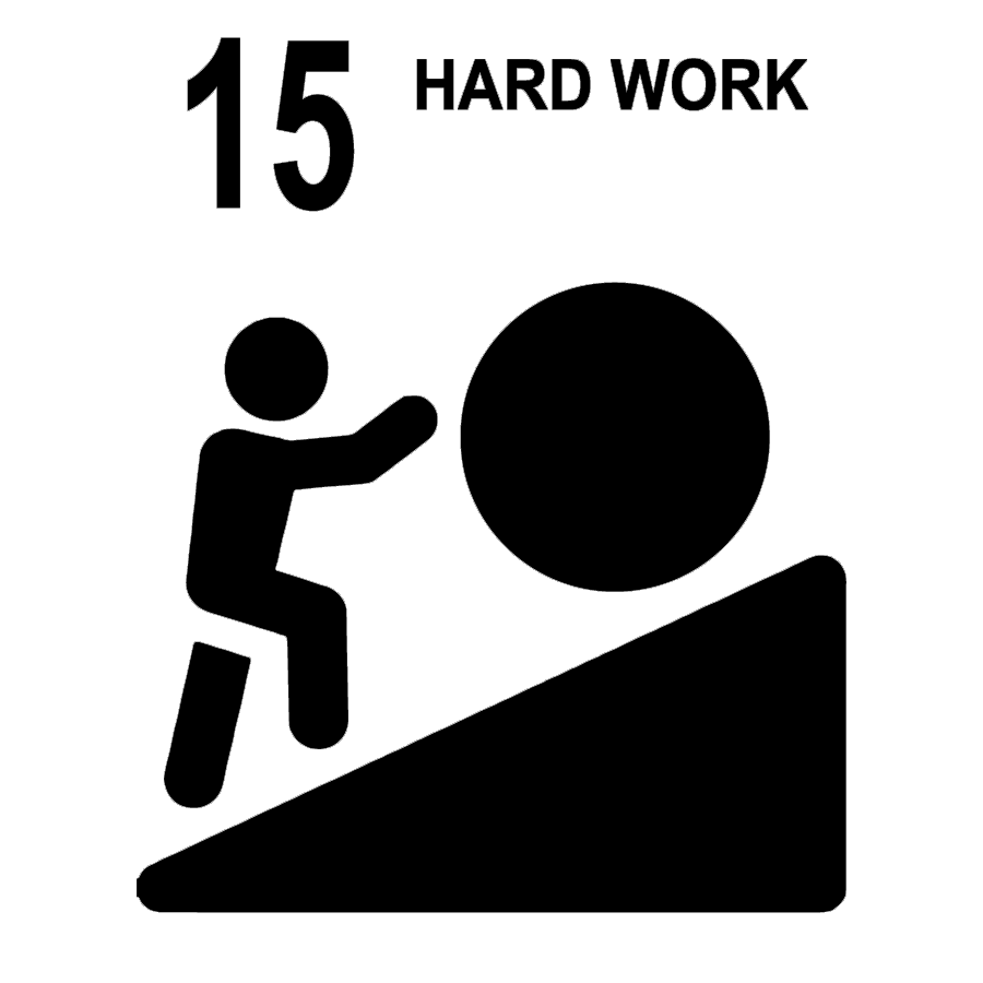 15. Hard Work